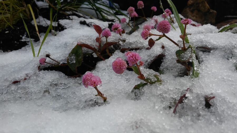 How Quickly Everything Can Change