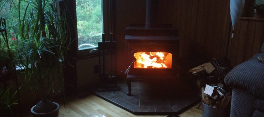 Wood stove with a fire